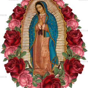 Lady Of Guadalupe Rose Frame Dtf Transfer