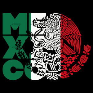 Viva Mexico-1 DTF Transfer