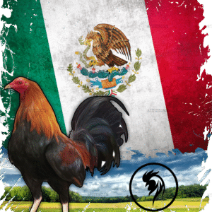 Gallo Rooster Dtf Transfer