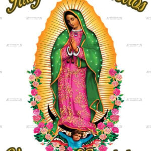Virgen De Guadalupe Dtf Transfer