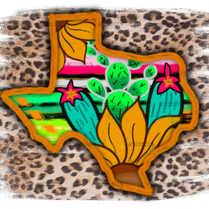 Texas Aesthetic DTF Transfer